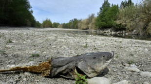 S&eacute;cheresse en Pyr&eacute;n&eacute;es-Orientales: sanctions si non respect des restrictions 