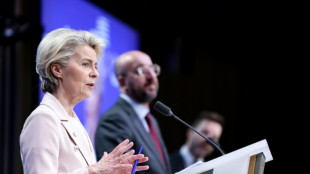 La pression monte pour un financement par l'UE de cl&ocirc;tures anti-migrants