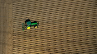 Brandenburger Gericht muss neu &uuml;ber Verkauf von Land durch Agrarkonzern verhandeln