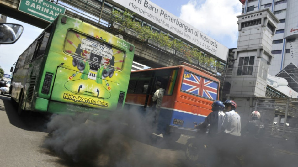 De l'Arctique &agrave; l'Himalaya, le "black carbon", super polluant du climat et de l'atmosph&egrave;re