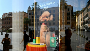 Dolce&Gabbana bringt Parf&uuml;m f&uuml;r Hunde auf den Markt - Kritik von Tiersch&uuml;tzern  