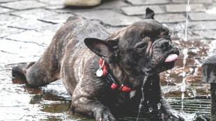 La Francia si prepara ad un week-end di caldo torrido