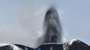 Etna: cala attività stromboliana, debole emissione cenere