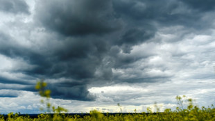&Ouml;zdemir und Bauernverband gehen von weitere steigenden Lebensmittelpreisen aus