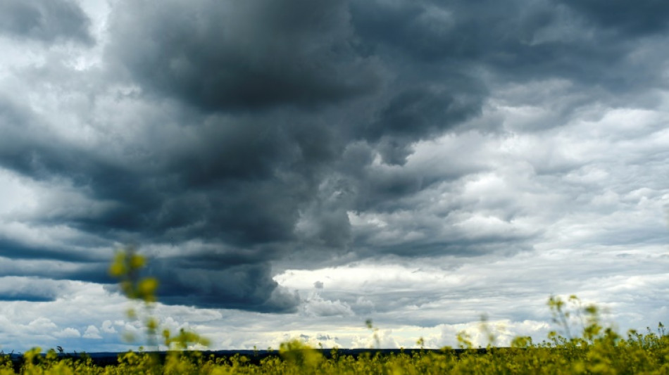 Bauernpr&auml;sident rechnet mit steigenden Lebensmittelpreisen
