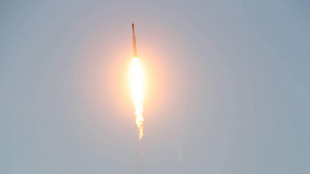 Qatar, 'intercettati con successo i missili iraniani'