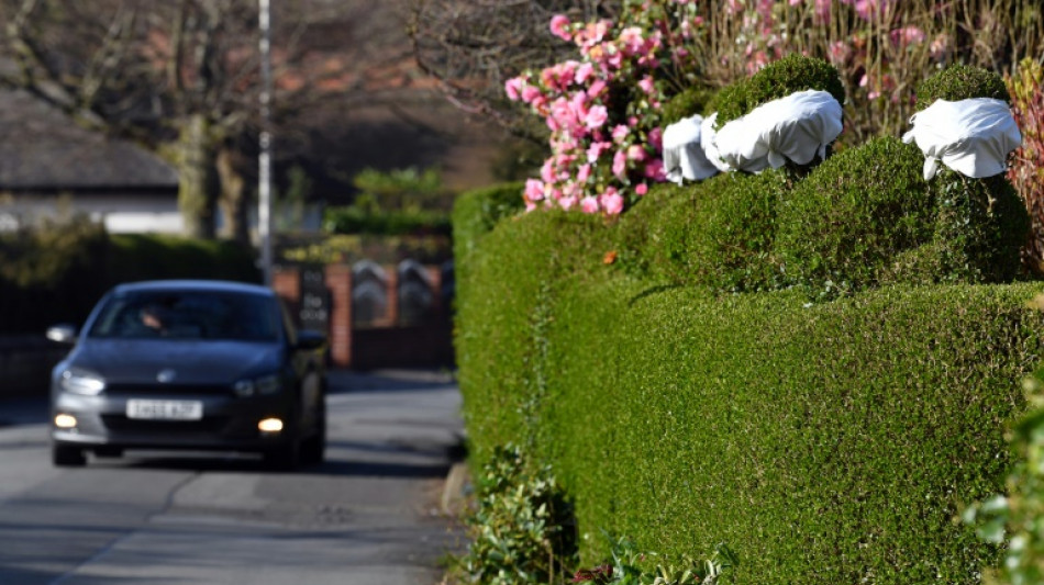Urteil: Keine H&ouml;henbegrenzung f&uuml;r Hecken zwischen Nachbargrundst&uuml;cken in Hessen