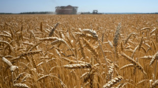 La Russie estime pouvoir exporter 50 millions de tonnes de c&eacute;r&eacute;ales