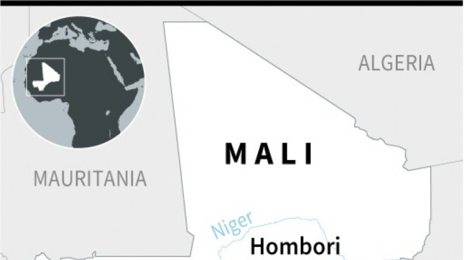 50 civilians die in sweep by Malian and 'foreign' troops: UN&nbsp; 