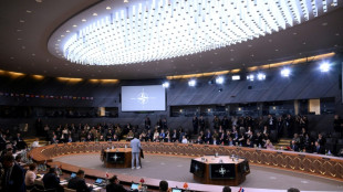 Europa duda que Trump pueda convencer a pa&iacute;ses de la OTAN de elevar su gasto en defensa al 5%