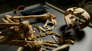 Mudan&ccedil;a social explicaria redu&ccedil;&atilde;o da popula&ccedil;&atilde;o masculina durante o Neol&iacute;tico