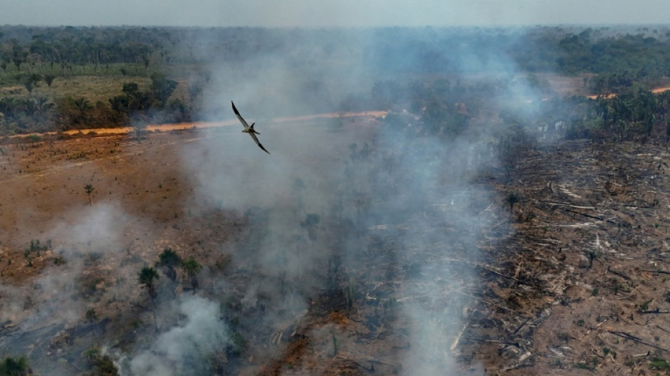 Brasilien: Br&auml;nde treiben Zerst&ouml;rung des Amazonas-Regenwalds voran
