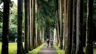 Le tourisme mondial devrait retrouver son niveau pr&eacute;-pand&eacute;mie en 2024, selon une agence onusienne