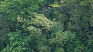 Mor&igrave; dopo rito sciamanico, quattro indagati