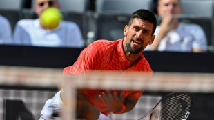 Djokovic, Swiatek into Italian Open last 16