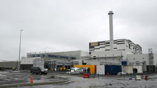 Automobile: la France inaugure en grande pompe sa premi&egrave;re usine de batteries &eacute;lectriques