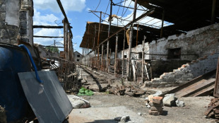 En Ukraine, le b&eacute;tail victime de la guerre