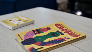 Il Cactus Film Festival passa a formato diffuso sul territorio