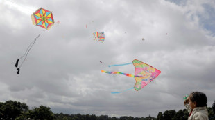 Las cometas colombianas surcan con honores el cielo en Francia