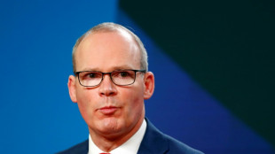 Irlanda, m&aacute;s optimista sobre la "voluntad" brit&aacute;nica de solucionar el conflicto posbrexit