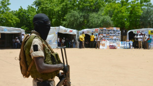 Mueren 23 soldados en una emboscada "terrorista" en N&iacute;ger
