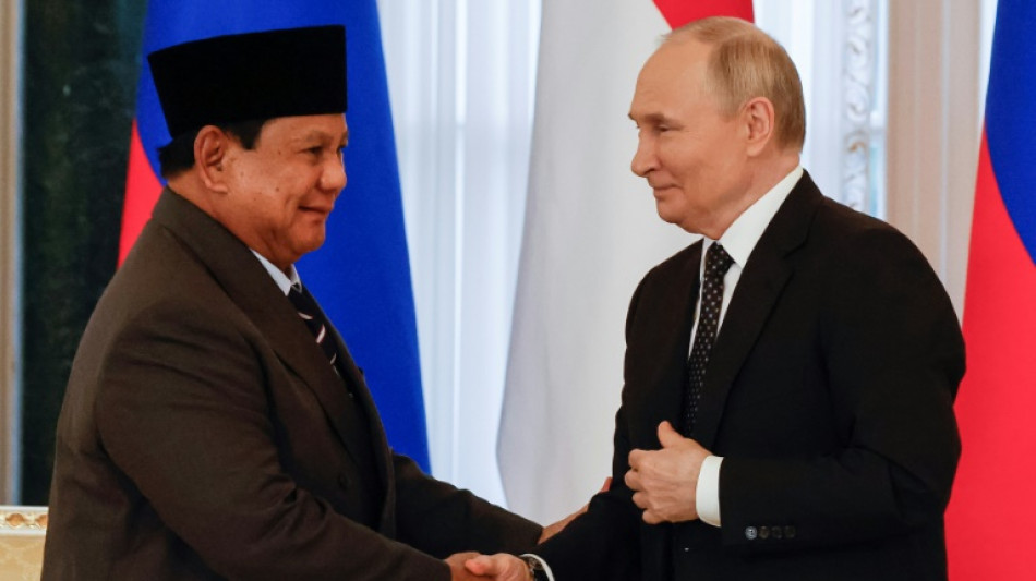 Indonesia President denies G7 snub in Russia visit