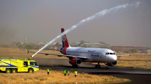 Y&eacute;men: premier vol commercial au d&eacute;part de Sanaa en six ans &agrave; la faveur de la tr&ecirc;ve