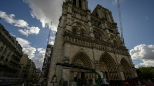 Francia estudia cobrar la entrada a la catedral de Notre Dame de Par&iacute;s