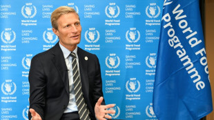 Aid to famine-struck Gaza still 'drop in the ocean': WFP