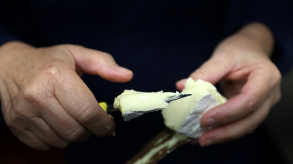 Los precios mundiales de los alimentos caen un 20,5% en marzo, seg&uacute;n la FAO