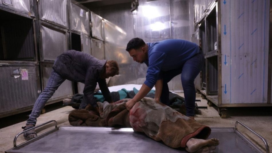 Un ministro israel&iacute; pide usar "toda la fuerza necesaria" en Gaza