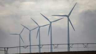 Niederlande wollen deutschen Teil von Netzbetreiber Tennet m&ouml;glichst bald verkaufen