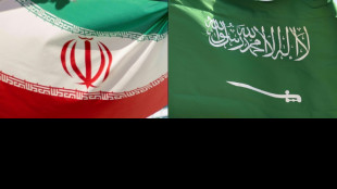 Acercamiento entre Arabia e Ir&aacute;n repercutir&aacute; en Oriente Medio y m&aacute;s all&aacute;, seg&uacute;n analistas