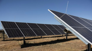 Starker Ausbau der Solarenergie - vor allem auf Freifl&auml;chen und Firmend&auml;chern  