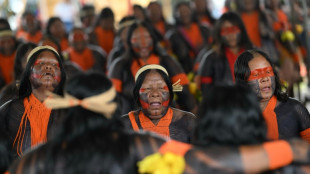 L&iacute;deres ind&iacute;genas del mundo piden el mismo peso que los jefes de Estado en COP30