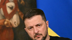 Zelenski visita Alemania en plena preparaci&oacute;n de su contraofensiva