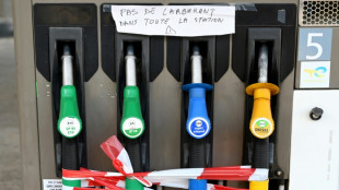 TotalEnergies: la gr&egrave;ve continue, le gouvernement fait pression pour r&eacute;soudre la crise