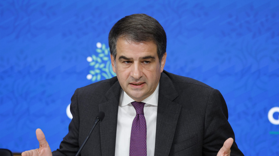 Fitto, FdI voter&agrave; von der Leyen? Dipende dal programma