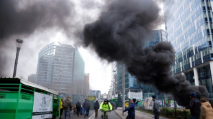 Agrarimporte: &Ouml;zdemir fordert von EU-Kollegen "Solidarit&auml;t" mit der Ukraine