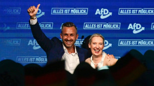 AfD-Chefin Weidel unterst&uuml;tzt Abschaffung des Verfassungsschutzes 