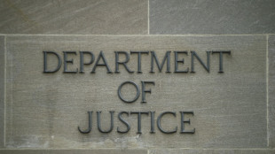 EEUU acusa de espionaje a un ruso que fingi&oacute; ser brasile&ntilde;o y trat&oacute; de infiltrarse en la CPI