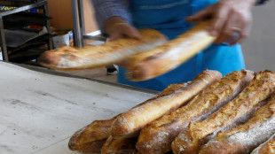 Les salari&eacute;s des boulangeries et fleuristes ind&eacute;pendants pourront travailler le 1er mai 2026, annonce Lecornu