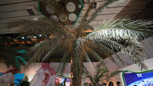 Trump, possiamo raggiungere la pace in Medio Oriente