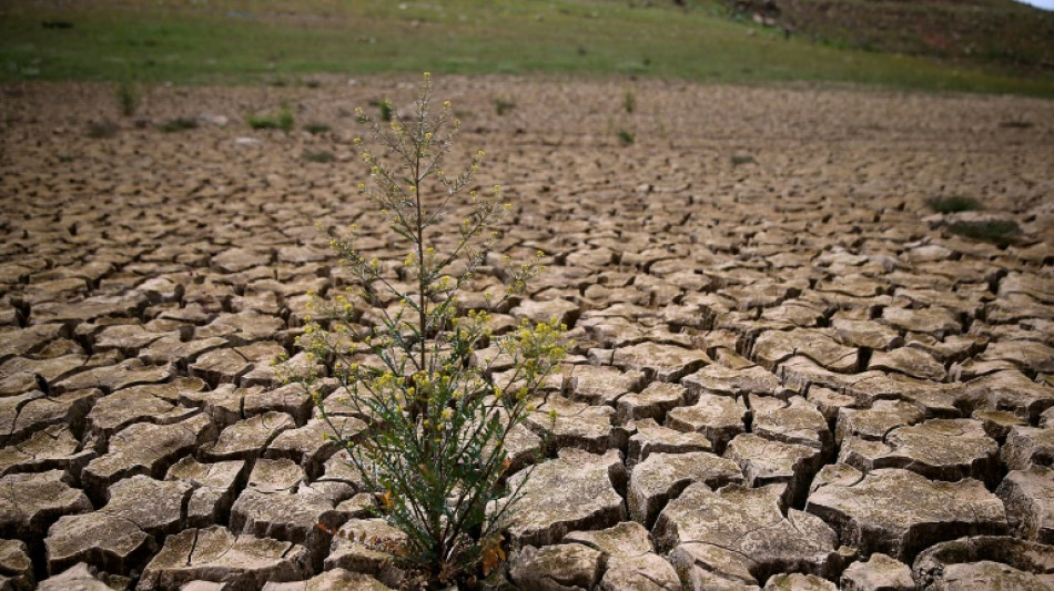 Sprint final du G7 pour muscler son action face &agrave; l'urgence climatique 