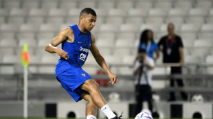 Mondial: s&eacute;ance anim&eacute;e pour les Bleus, Varane et Benzema encore &agrave; l'&eacute;cart