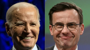 Biden discusses Sweden's stalled NATO bid with PM