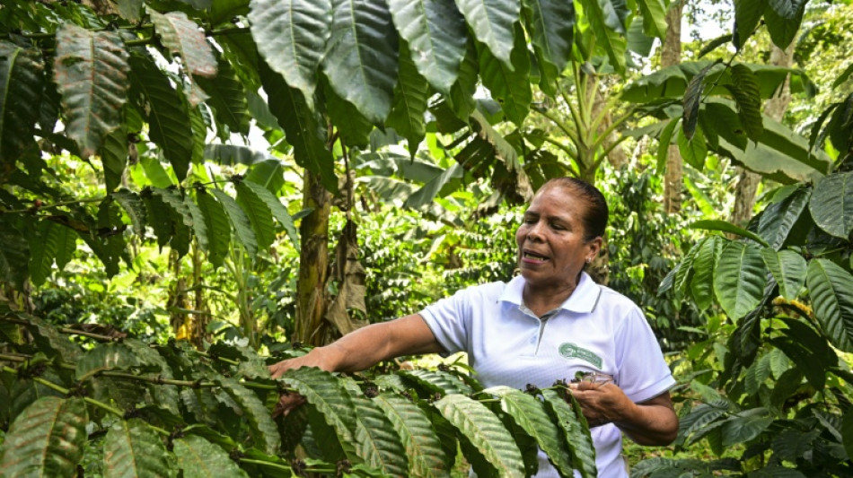 Entre montanhas verdes, agricultores cuidam da &aacute;gua do canal do Panam&aacute;