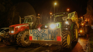 Les agriculteurs toujours mobilis&eacute;s, d&eacute;bat sur le Mercosur &agrave; l'Assembl&eacute;e