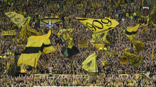 UEFA-Report: Dortmund und Bayern im Fan-Ranking vorne