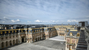 Una muestra en París explora la vida del "Gran Delfín", padre sin corona del rey Felipe V de España